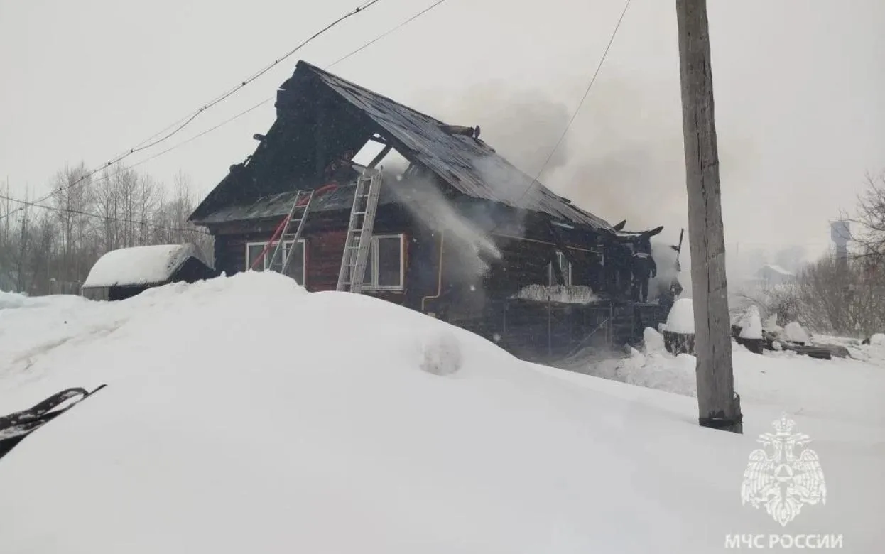Дом сгорел в Удмуртии из-за оставленных на печи дров