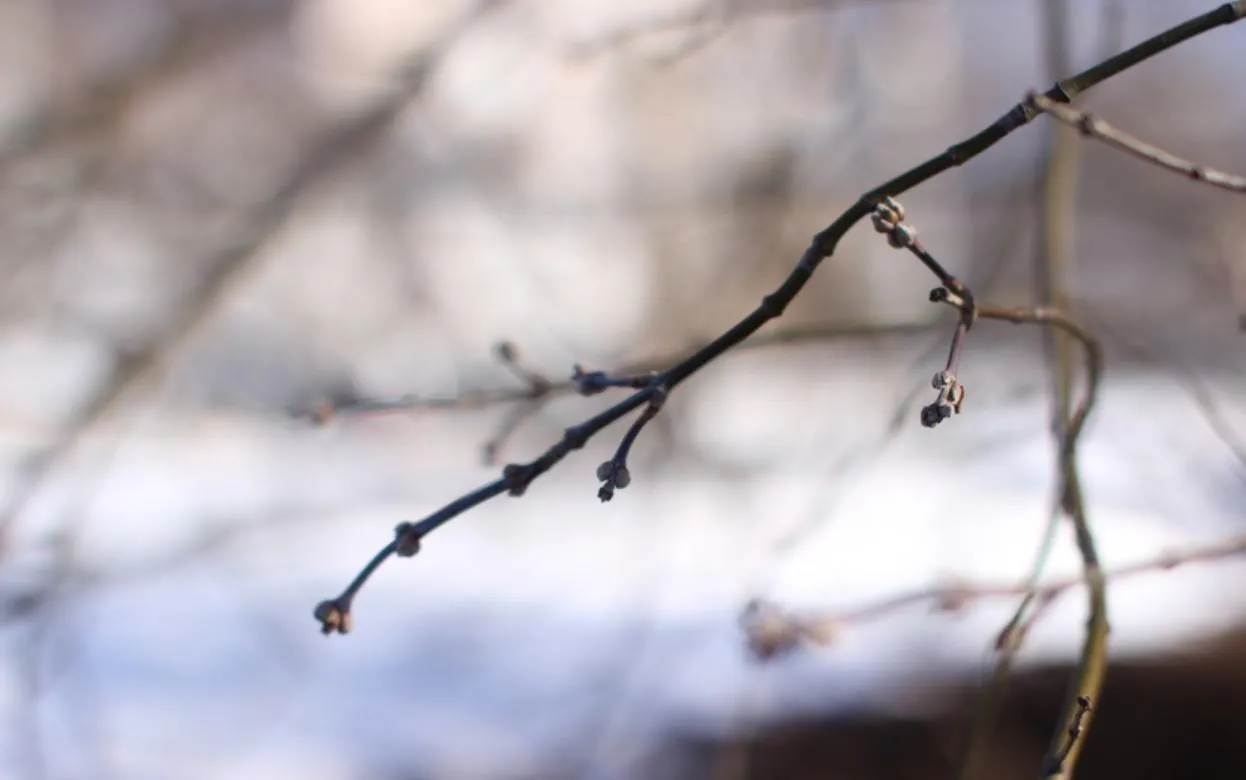 Погода в Ижевске на день: 3 марта ждем снег и до -1°С