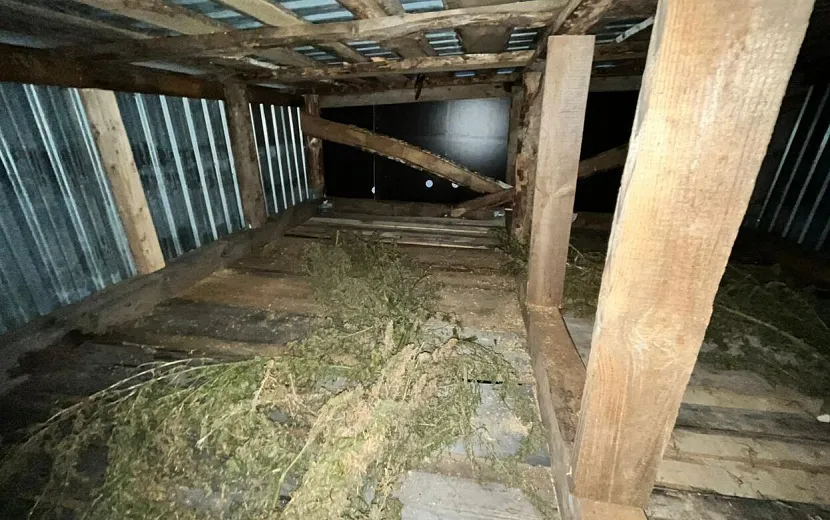 Фото: МВД по Удмуртии