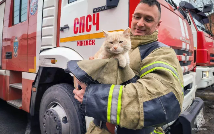 Фотофакт: кот Петрович из пожарной части в Завьялово готовится к будням