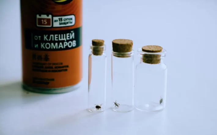 Убивают и отпугивают: проверили, как действуют аэрозоли от клещей 