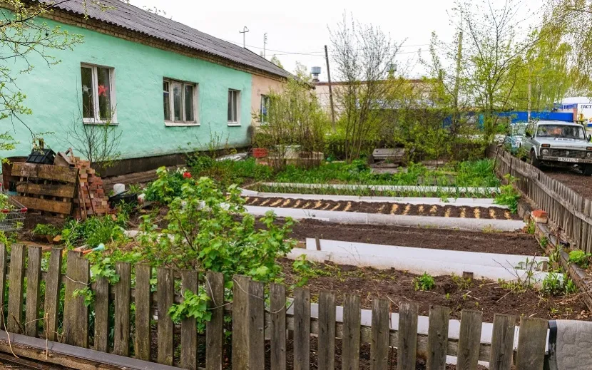 Некоторые жители разбивают огороды прямо рядом с домом