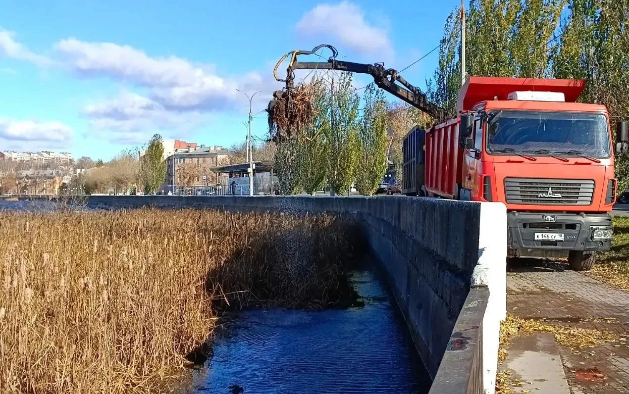 Плавучий остров ликвидировали на пруду в Воткинске