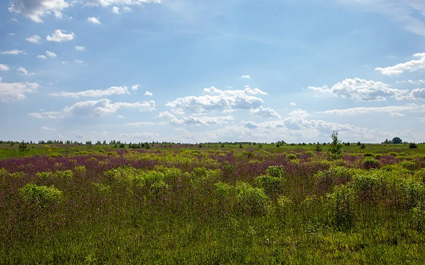 Люлли-112.jpg