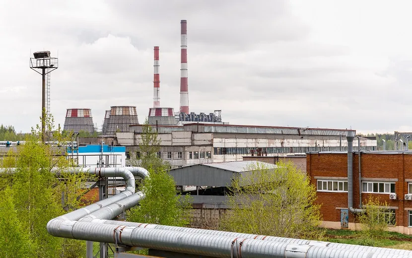 Старки 1.jpg