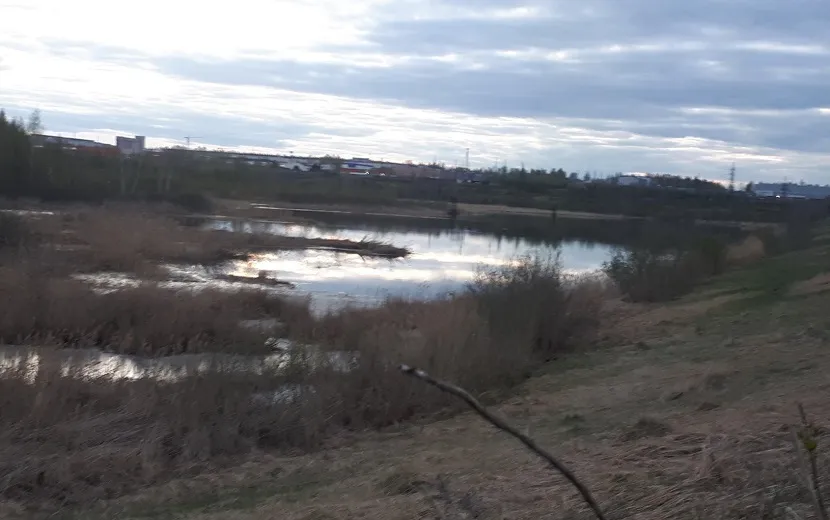 Старки 12.jpg