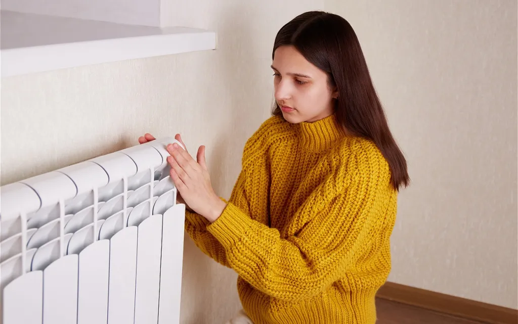 teenage-girl-warms-hands-on-radiator-at-home-2026-09-22-03-18-12-utc (1).jpg