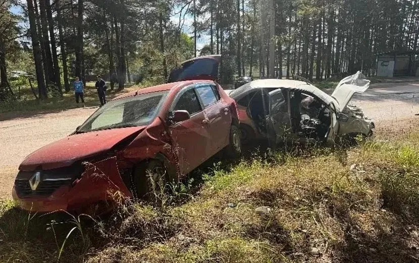 Фото: Госавтоинспекция Удмуртии