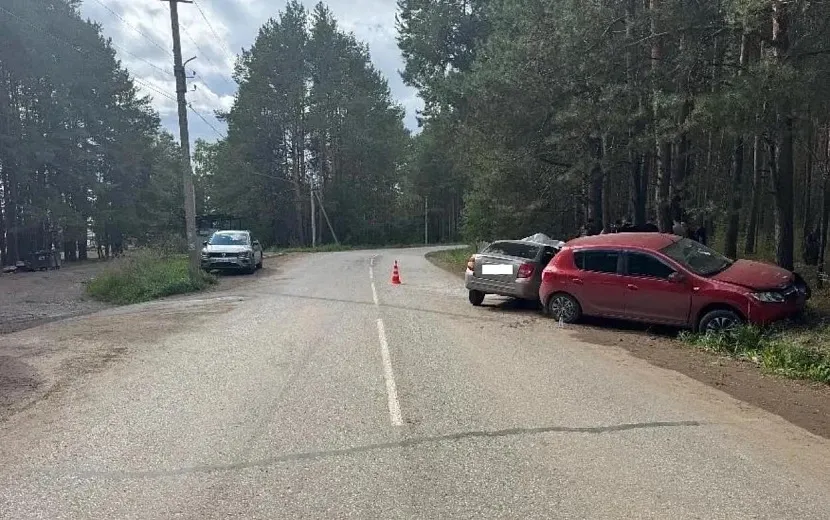 Фото: Госавтоинспекция Удмуртии