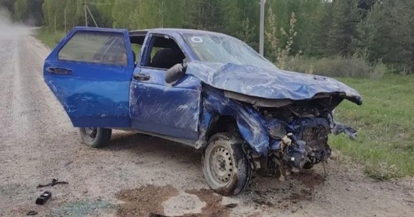Фото: Госавтоинспекция Удмуртии