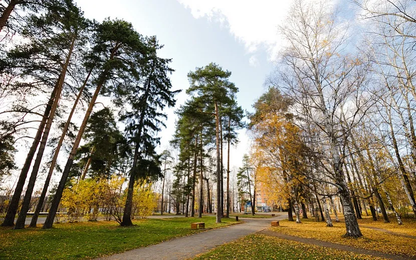 Фото: Амир Закиров