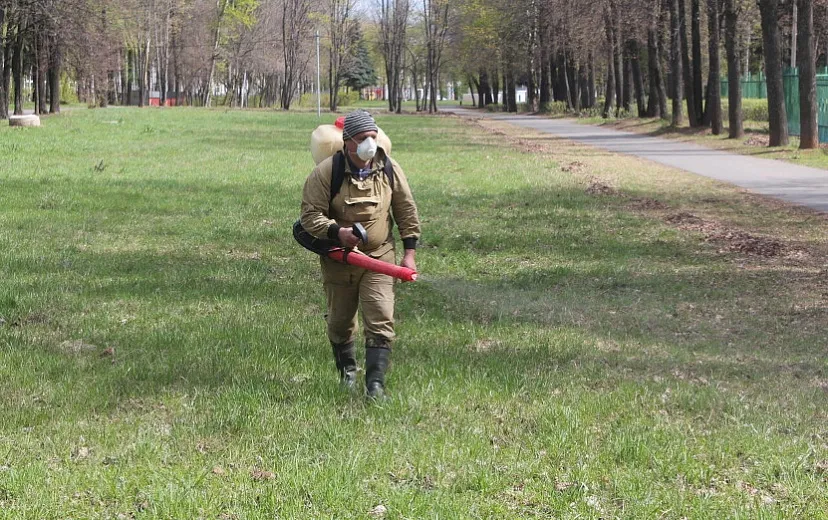 Весной в Ижевске от клещей обработают 396 гектарах городских территорий. Фото: Диля Ахмадишина