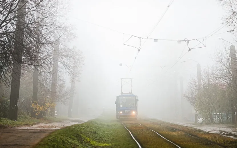 Фото: Амир Закиров