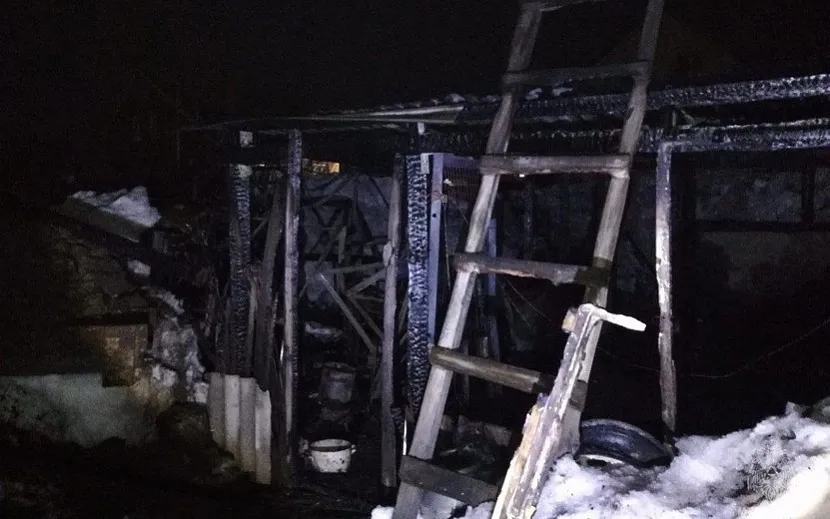 Фото: пресс-служба ГУ МЧС по Удмуртии