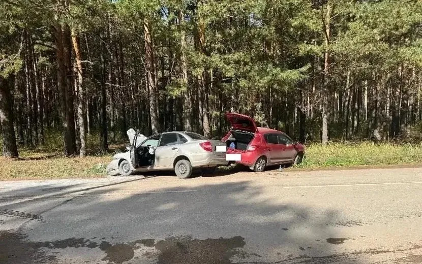 Фото: Госавтоинспекция Удмуртии