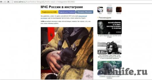 Ижевский щенок, спасенный при пожаре в «Италмасе», стал звездой Интернета