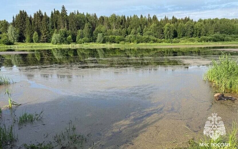 Мужчина утонул во время рыбалки на пруду в Якшур-Бодье