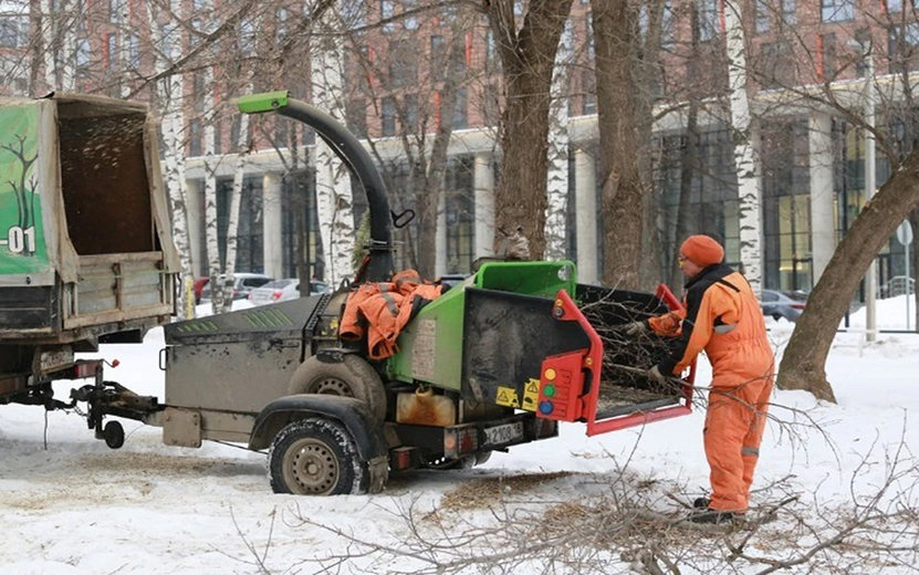 Аварийные деревья вырубили в Ижевске вдоль ул. Карла Маркса и ул. Кирова