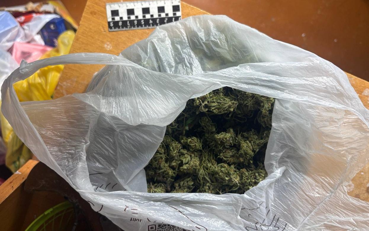 Теплицу с коноплей нашли в доме продавца из Удмуртии