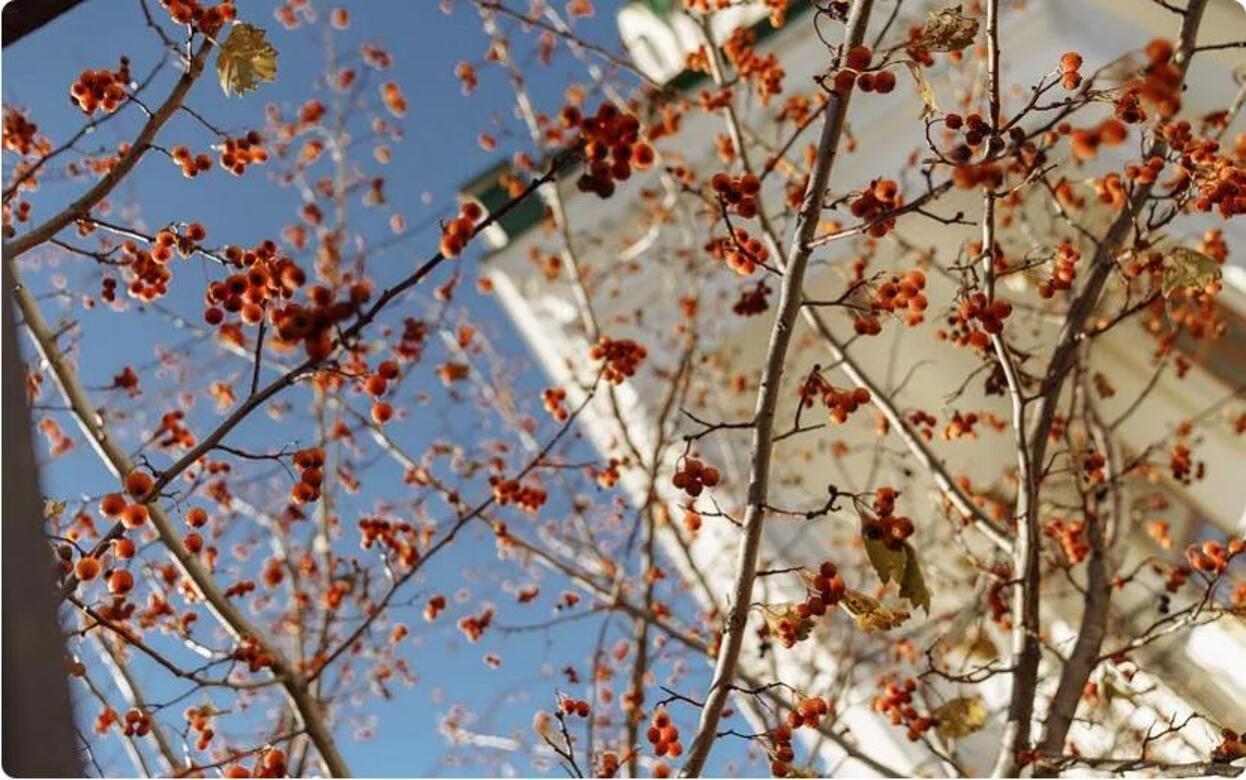 Погода в Ижевске на день: 18 ноября ждем ночные -5°С и дневные +5°С