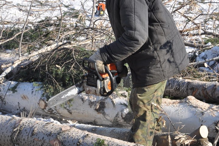 Главные новости Ижевска на 23 сентября: строгий режим за рубку леса и движение депутатов