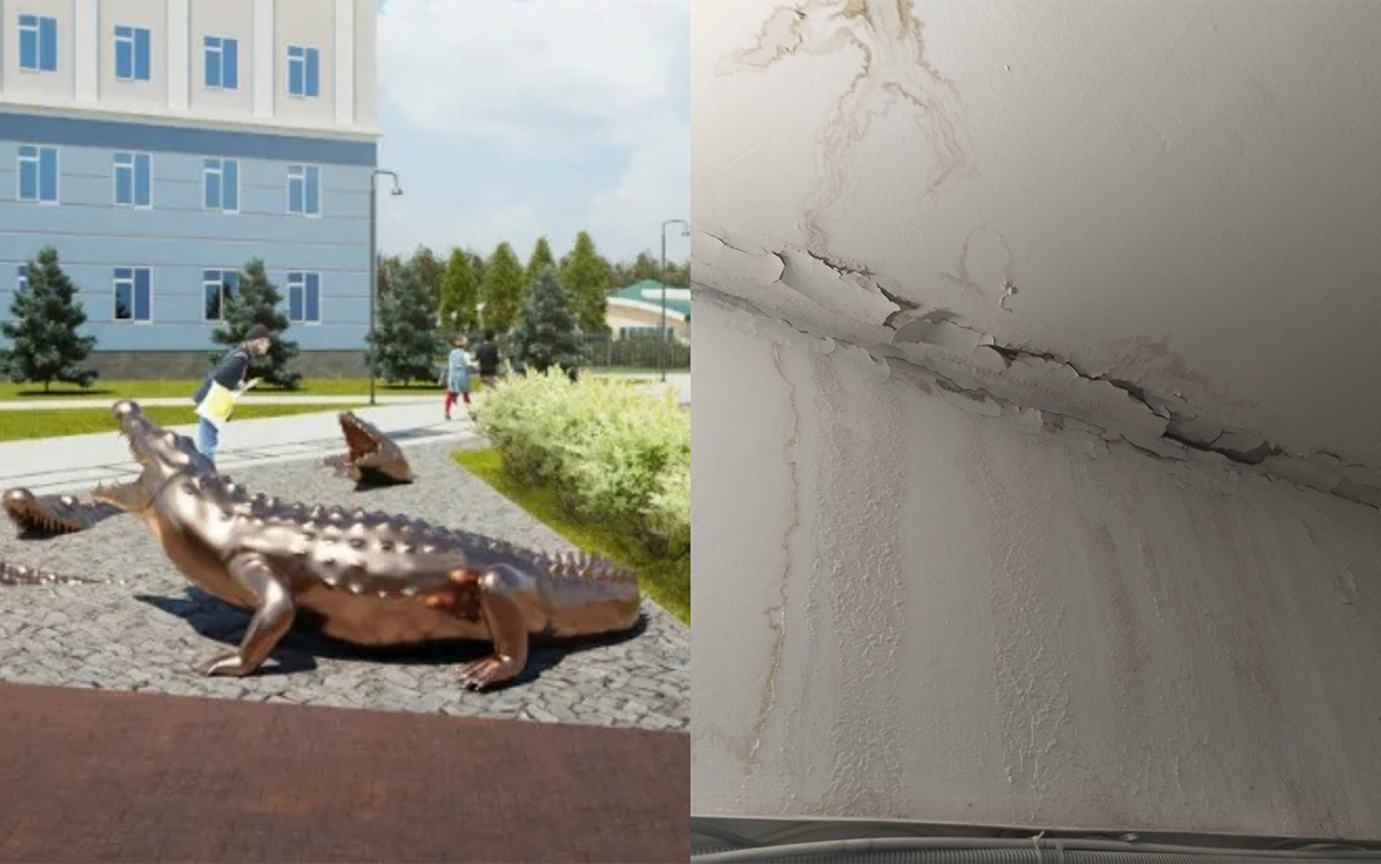 Бой крокодилам, протекающая крыша, самая вкусная еда из школы: что обсуждают ижевчане в соцсетях 12 марта