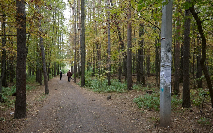 Стали известны парки и скверы, которые могут быть благоустроены в Ижевске в следующем году