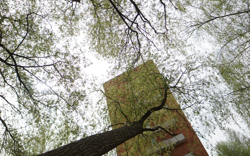 осадка ижевск