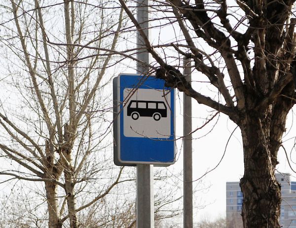 Две остановки общественного транспорта могут перенести в Ижевске