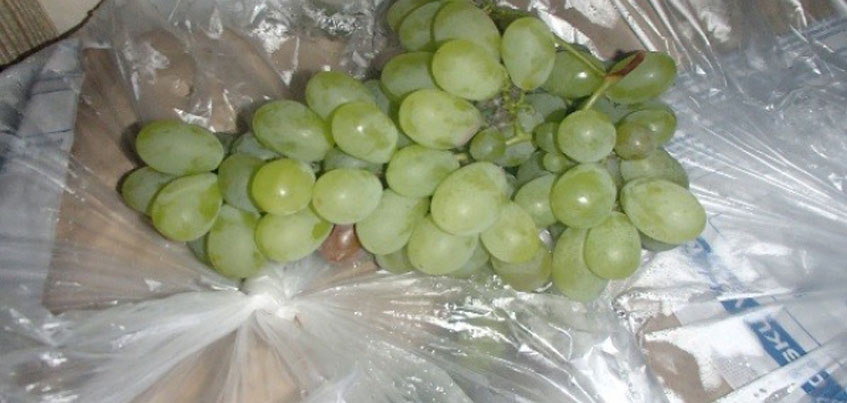 В Ижевске на продуктовой базе обнаружили 210 кг контрафактного винограда