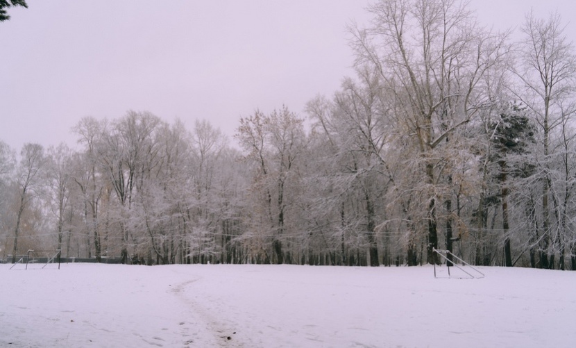 Первый снег в Ижевске. Фото: Маша Бакланова