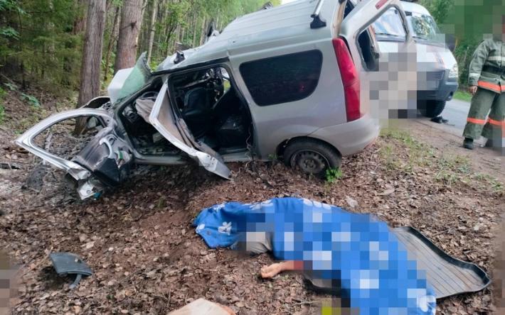 Пассажир врезавшегося в дерево «Ларгуса» погиб в Удмуртии