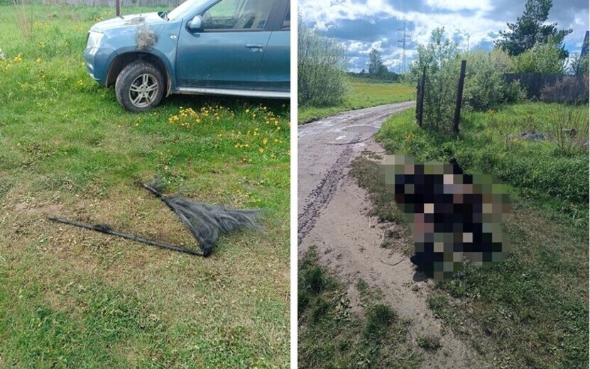 Мужчина погиб от удара током 110 тысяч вольт в Воткинском районе