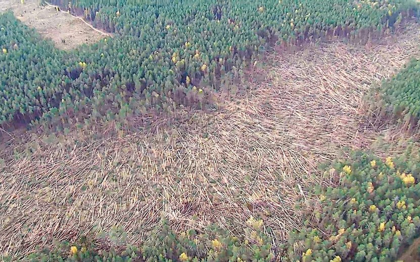 Главные новости Ижевска на 8 октября: Бастрыкин потребовал доклад о ДТП и ураган повредил 45 га леса