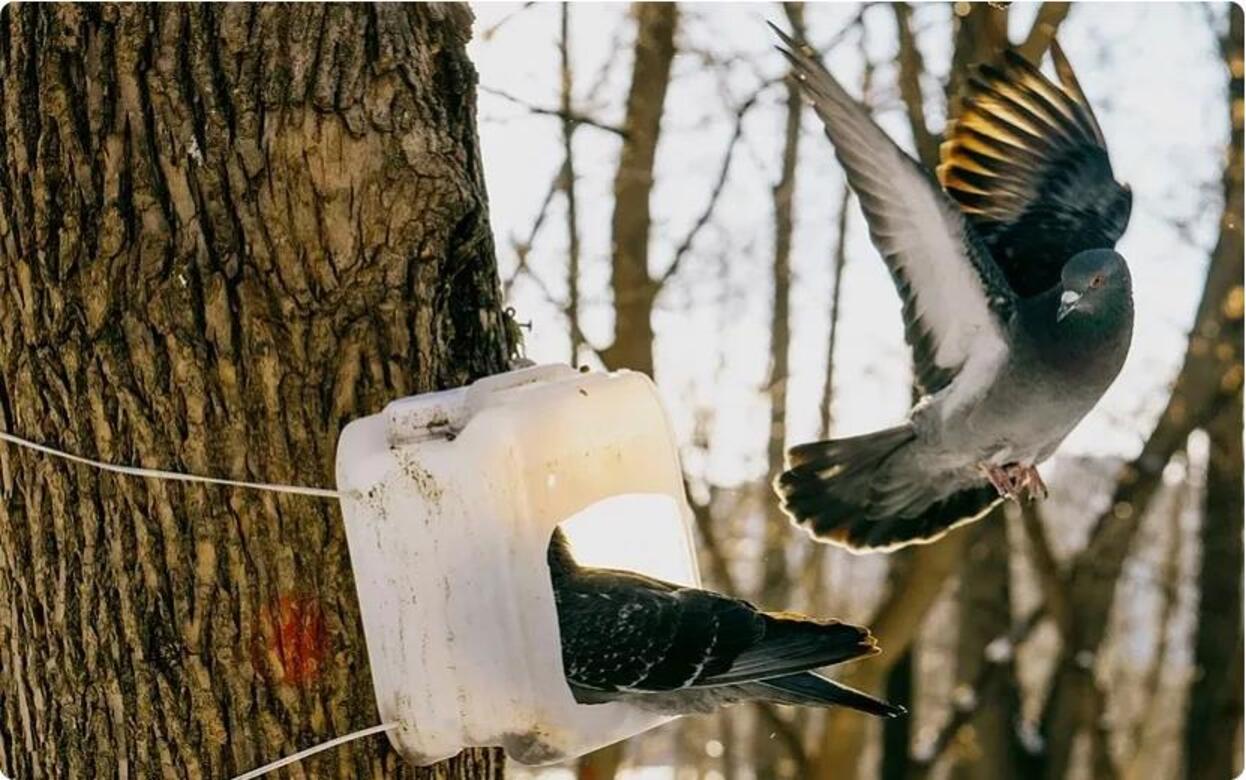 Главные новости Ижевска на утро 18 ноября: гибель в ДТП и рост поступлений в бюджет