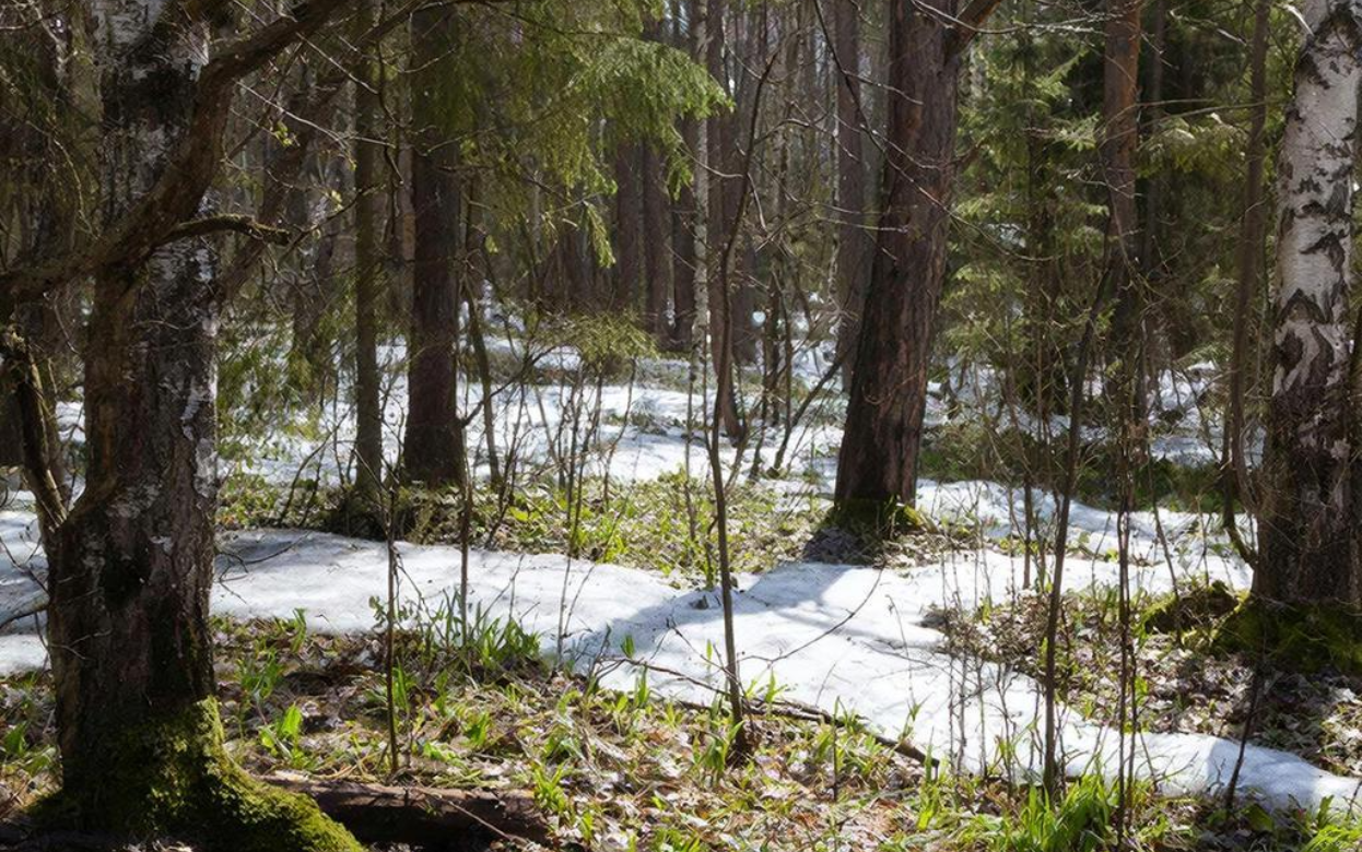 3 апреля – Фомин день: эти запреты нарушать нельзя, иначе отвернется удача