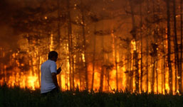 Медведев: ответственность за лесные пожары в России станет персональной