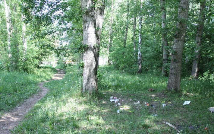 50-летнего мужчину убили в лесу на улице Ворошилова в Ижевске