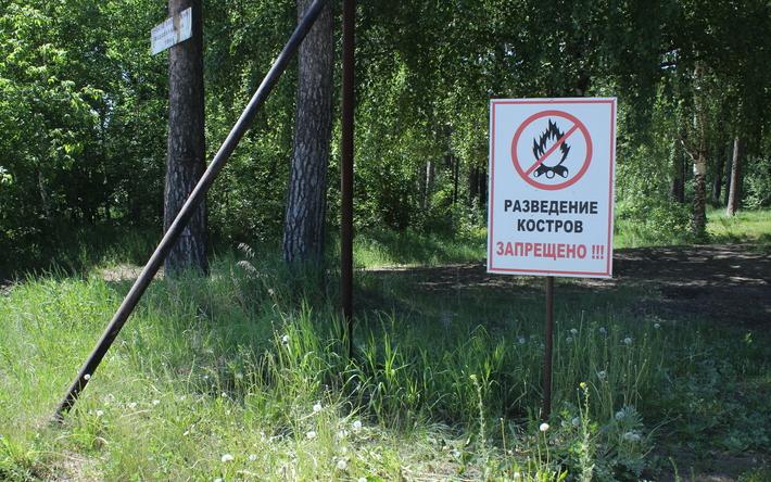 Костры запретили разводить в лесах Ижевска