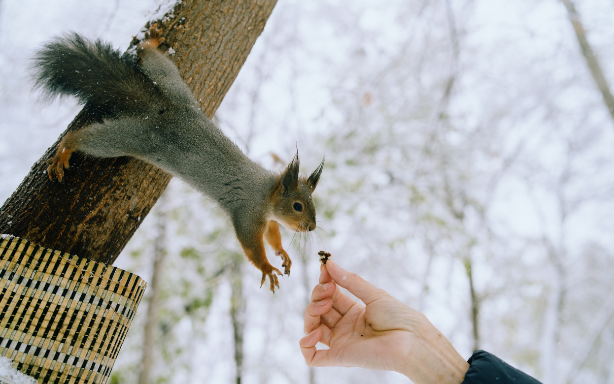 Погода в Ижевске на день: 9 декабря ждем ночные -19°С и до -8°С днем