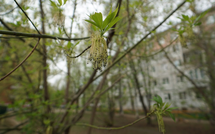 Погода на день в Ижевске: днем до +21°С и небольшие дожди