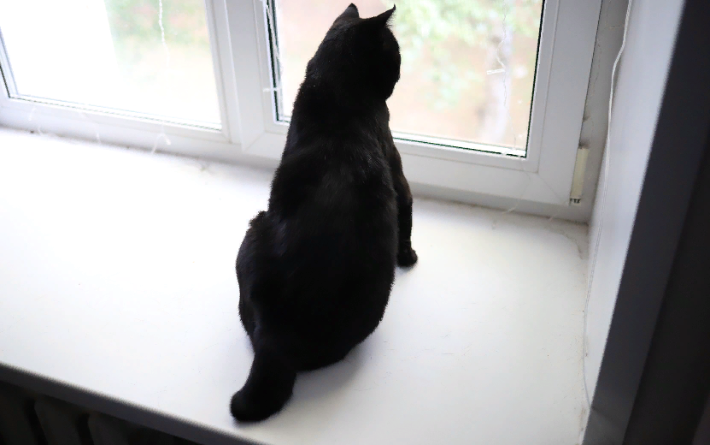 Гороскоп на день: 2 июля Весы почти добрались до цели, а Козерогам надо бы бояться своих желаний