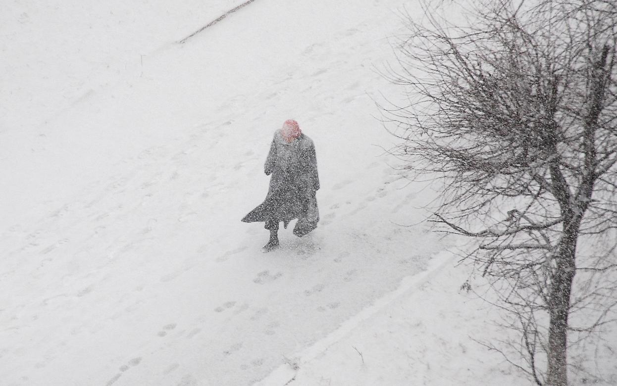 Жителей Удмуртии предупредили о сильном снеге 8 февраля