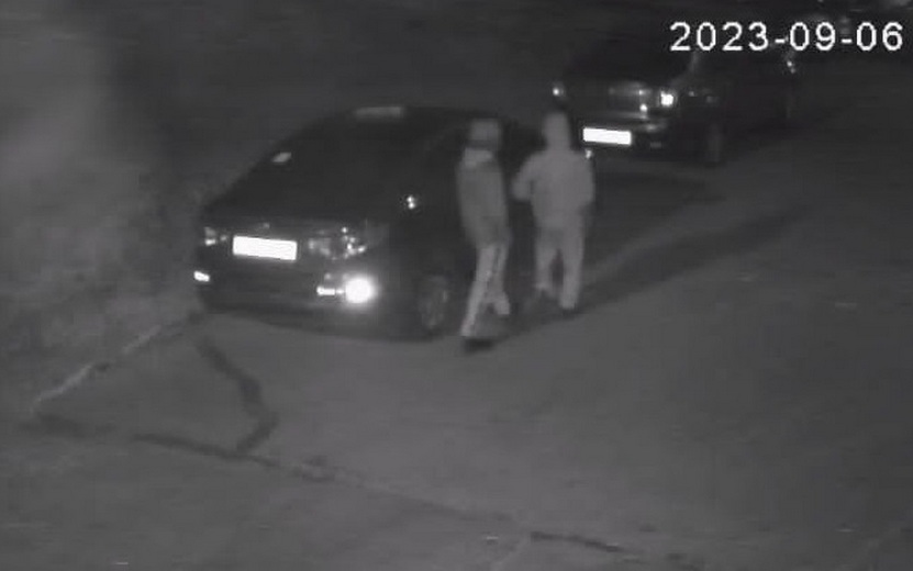 Двух братьев из Удмуртии подозревает в кражах из машин