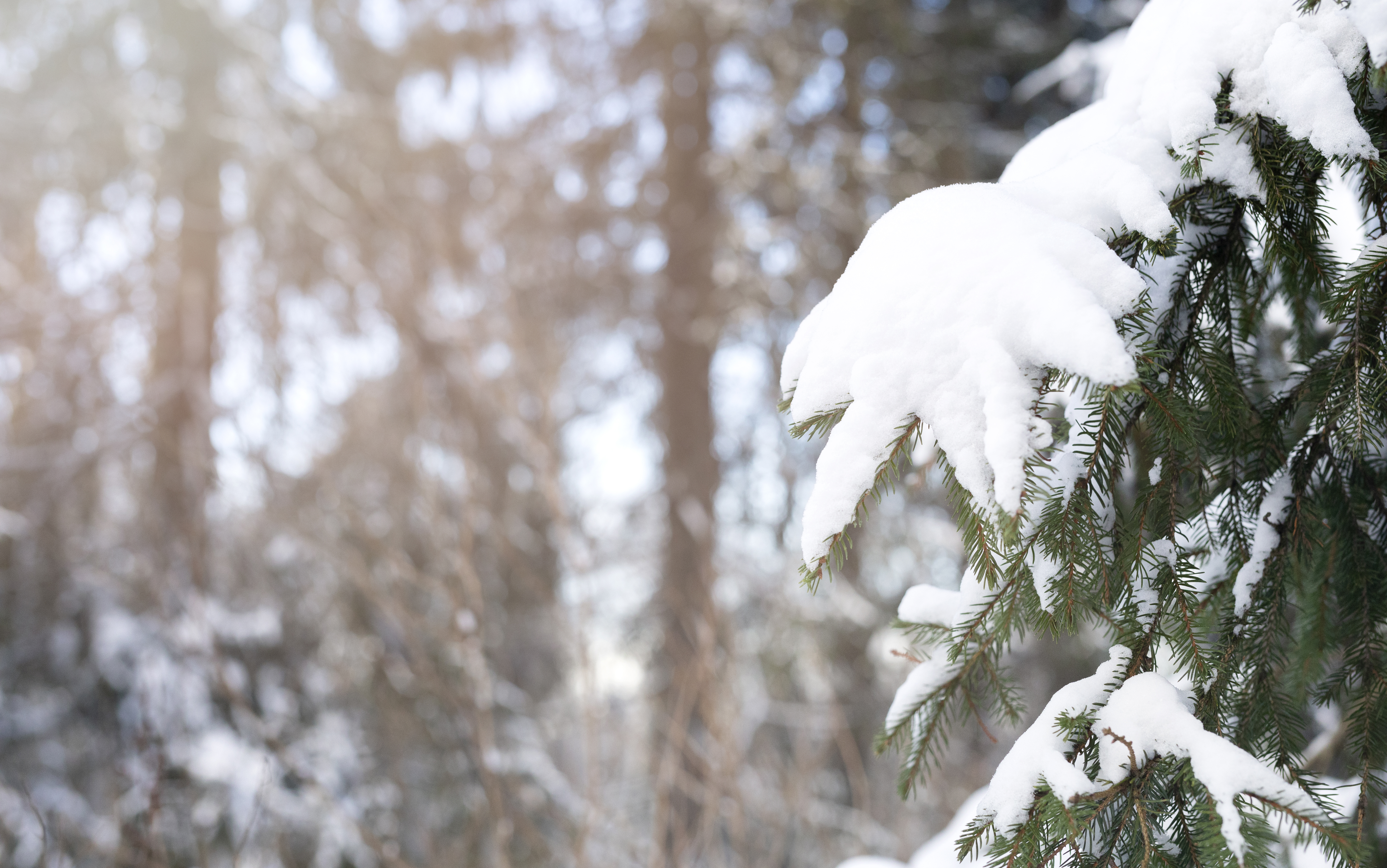 Погода в Ижевске на день: 14 января ждем -15°С и солнечную погоду