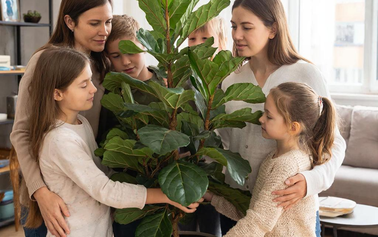 Эксперты назвали 5 растений, которые очищают воздух в доме лучше кондиционера