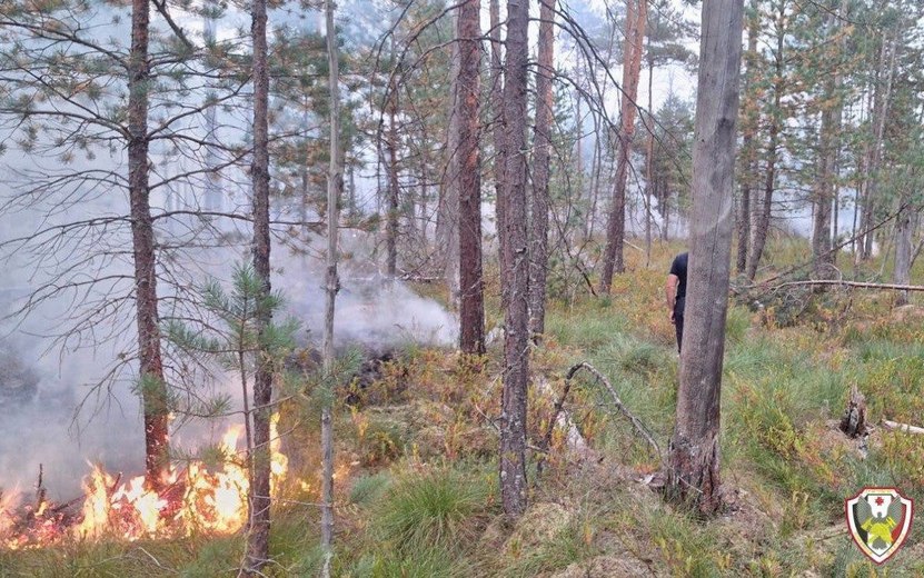 Пожар площадью 1,5 га произошел в лесу в Удмуртии