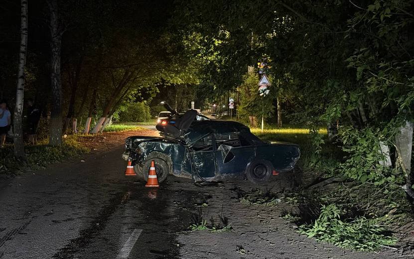 Бесправный водитель ВАЗа врезался в дерево на ул. Самсонова в Ижевске