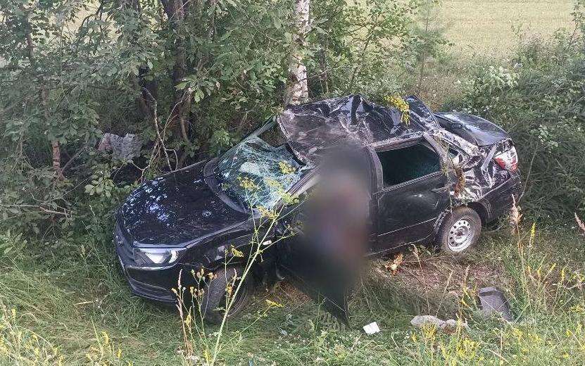Смертельное ДТП в Игринском районе. Видео: Госавтоинспекция Удмуртии