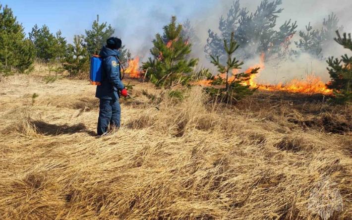 13 ландшафтных пожаров потушили в Удмуртии за сутки